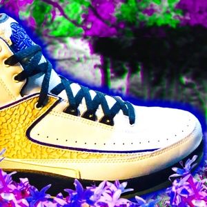 AIR JORDAN 2 (DARK CONCORD) RETRO